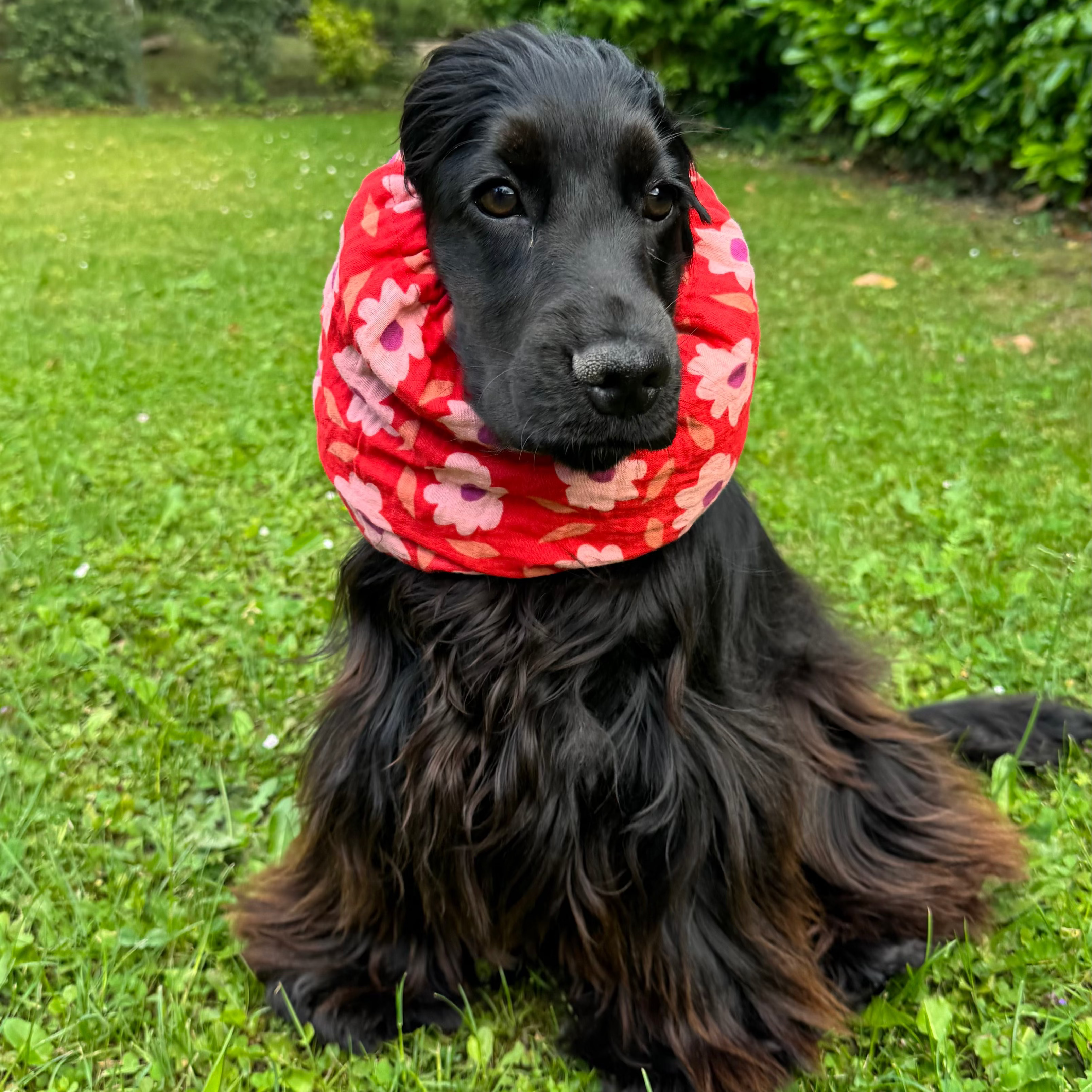 Snood Gaze de coton motif ROUGE FLEURS