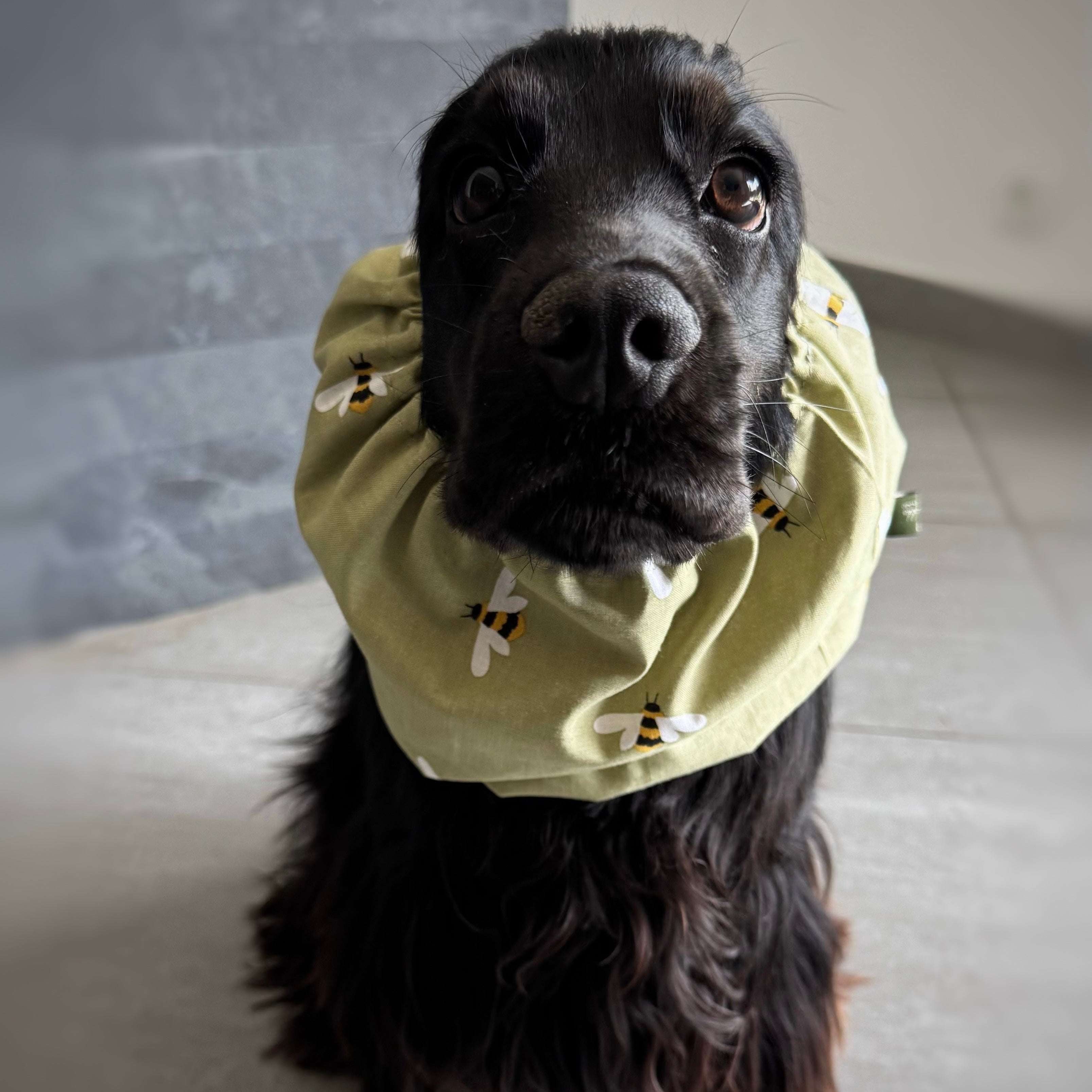Snood coton vert PETITES ABEILLES