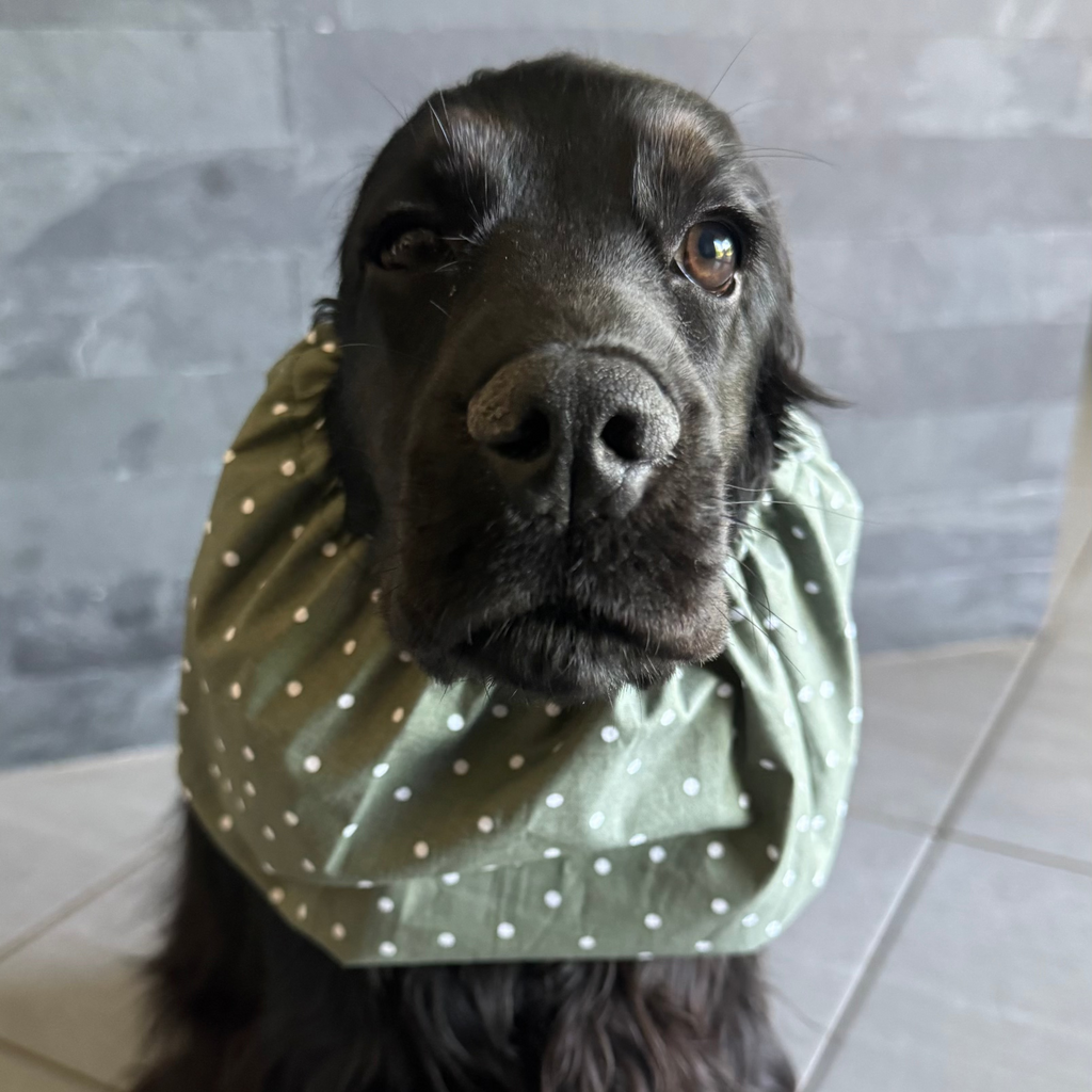 Snood coton POIS KAKI