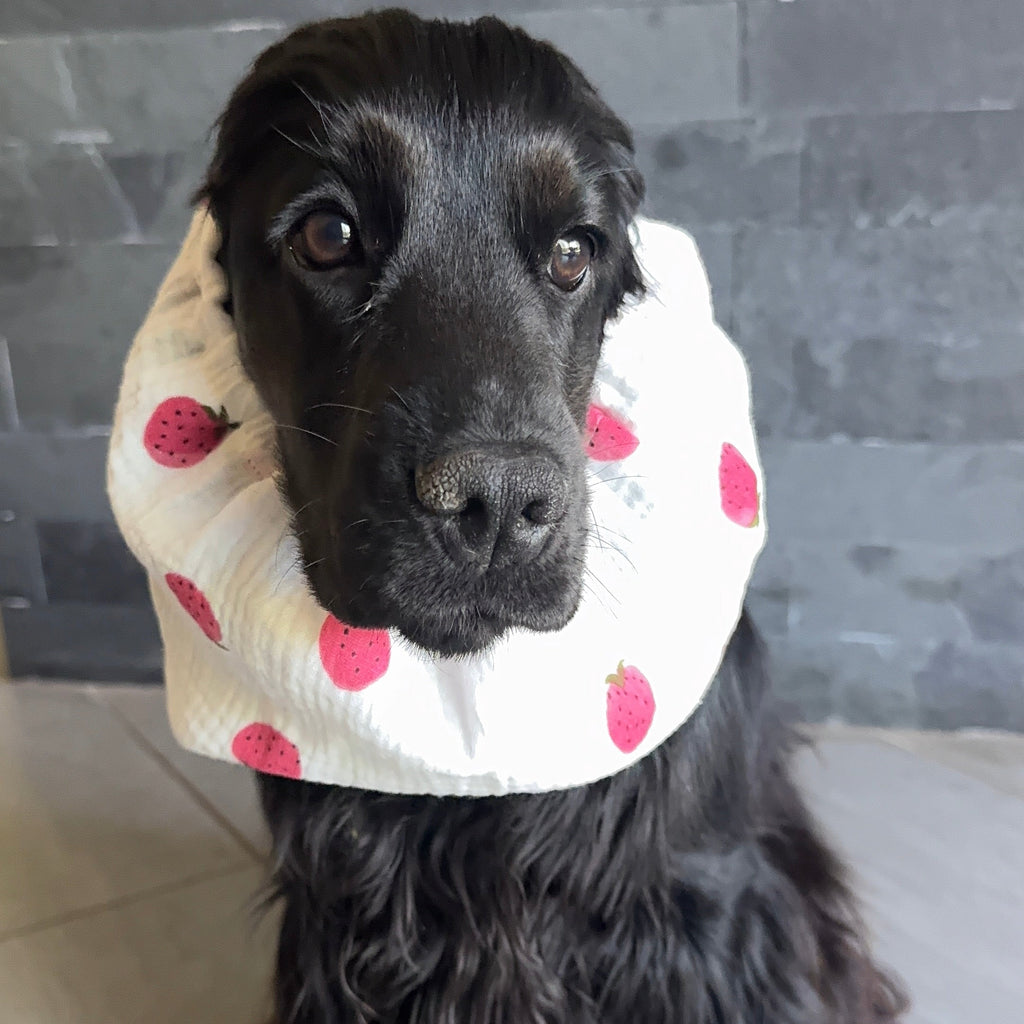Snood gaze de coton FRAISES